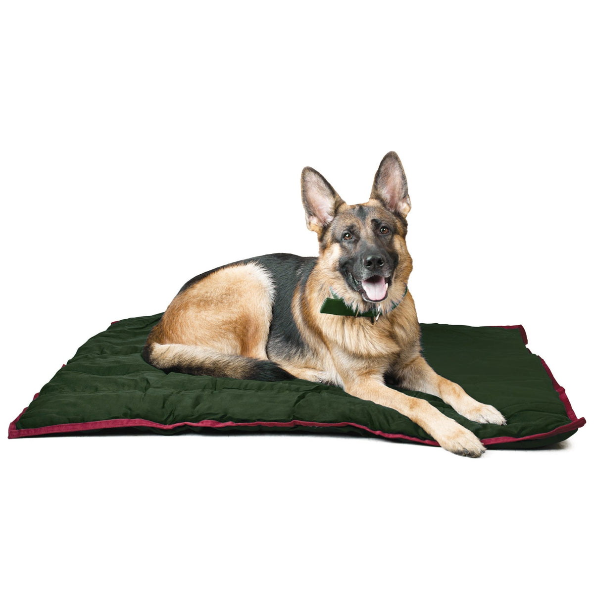 Dog Pillow product image 9