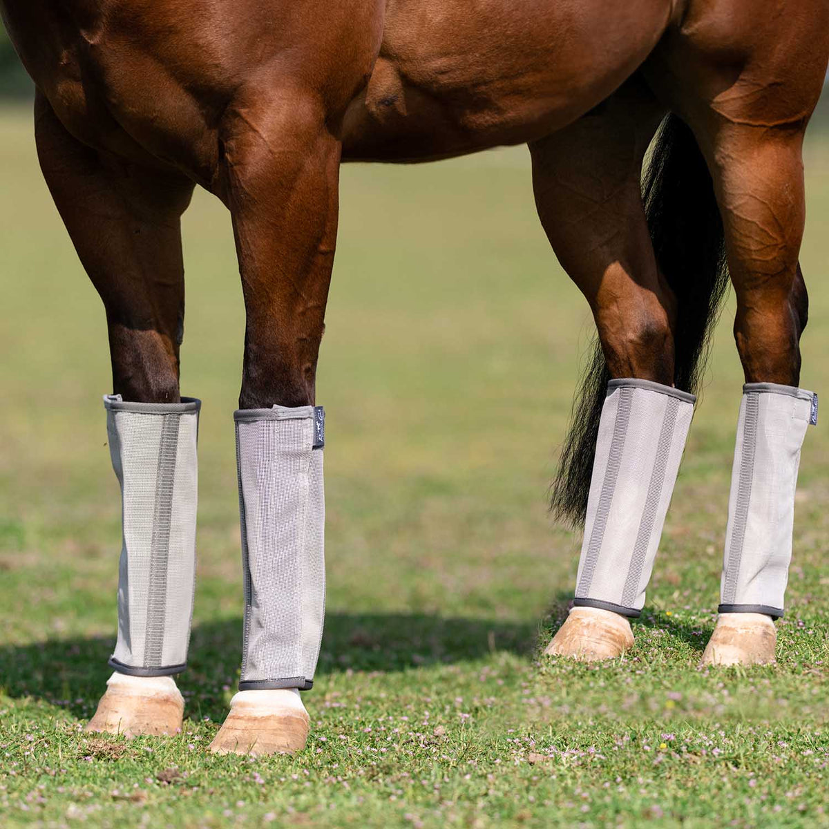 Horse Fly Boots product image 2