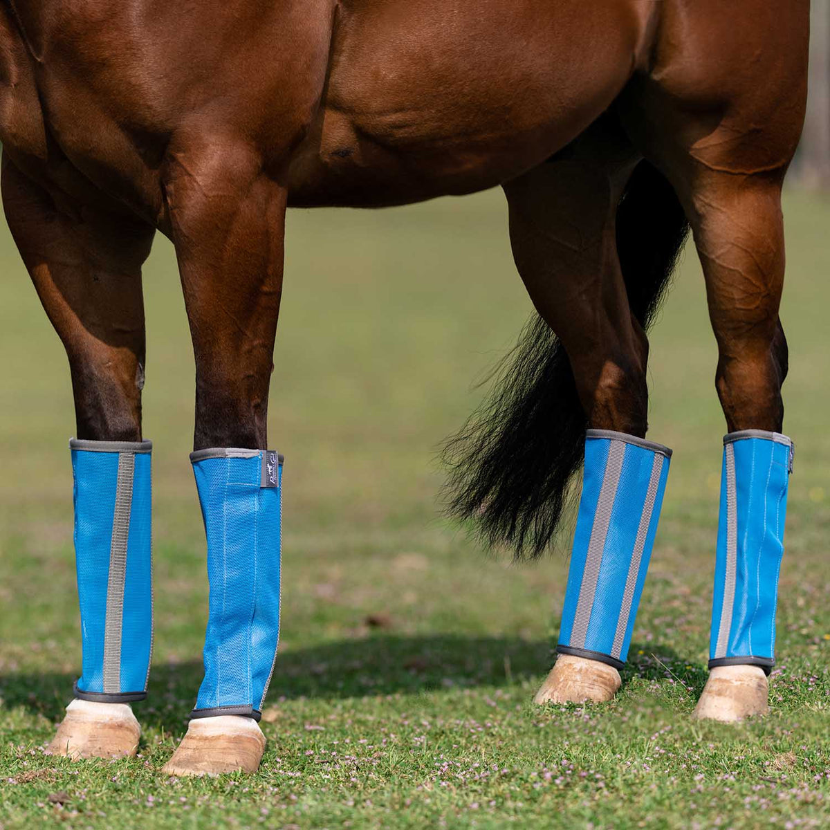 Horse Fly Boots product image 5
