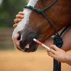Horse Dewormer Paste product image 6