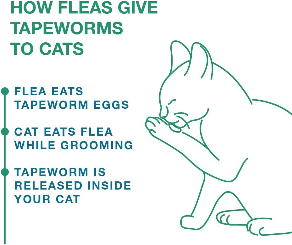 Cat Tapeworm Dewormer product image 5