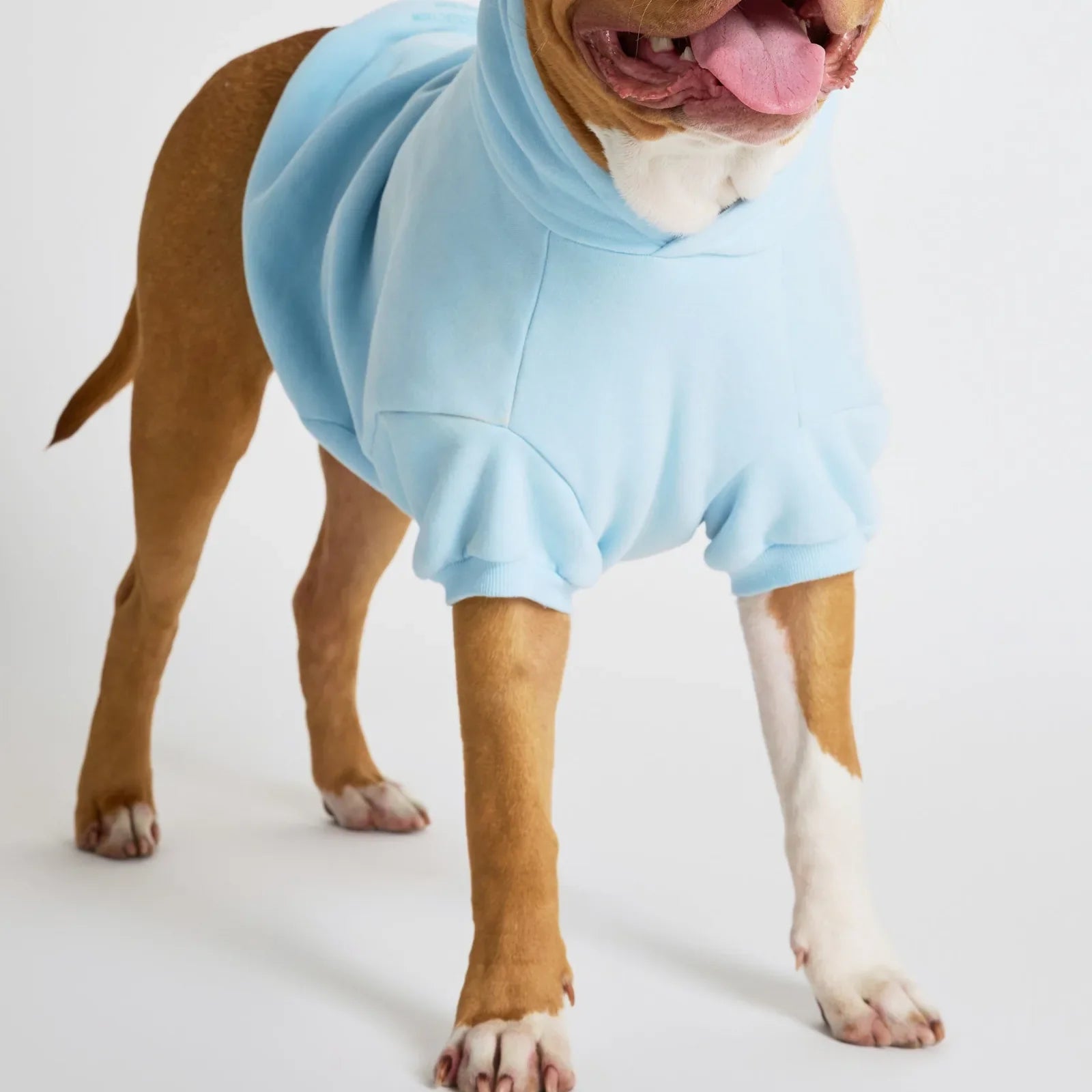Pastel Paw Hoodie product image 1