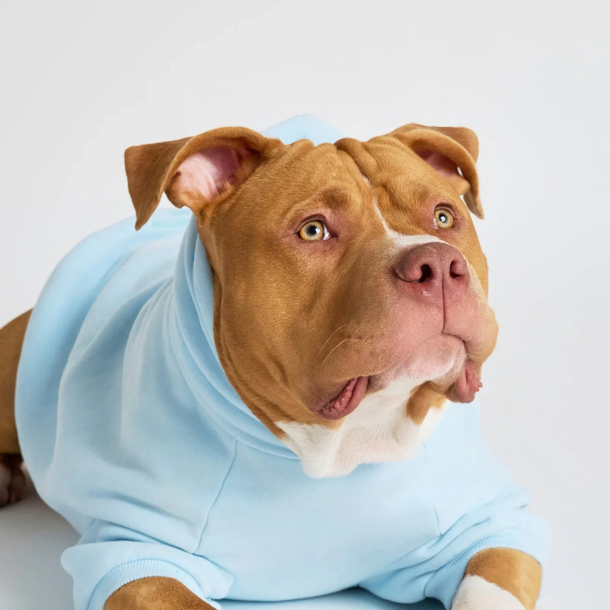 Pastel Paw Hoodie product image 3