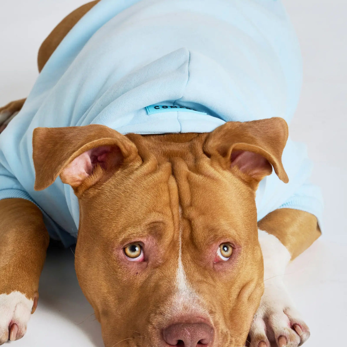 Pastel Paw Hoodie product image 4