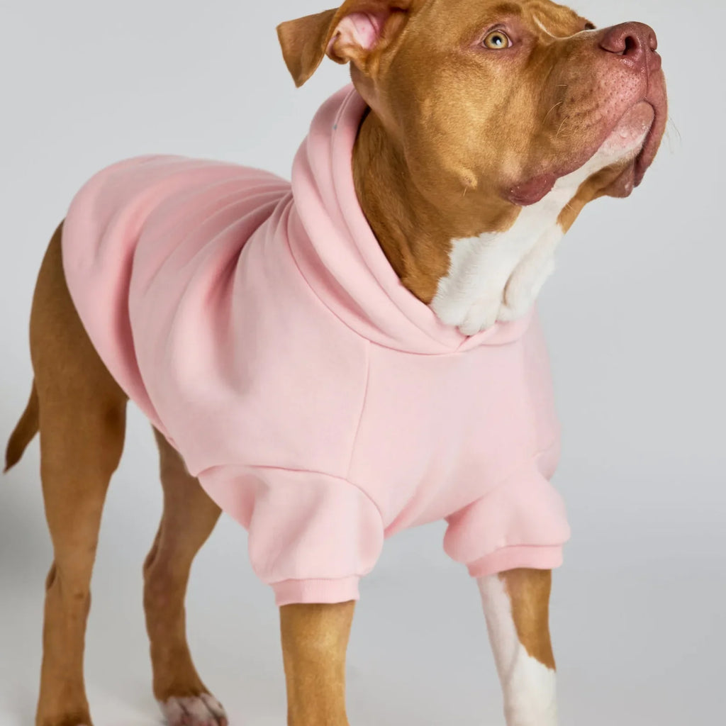 Pastel Paw Hoodie product image 7