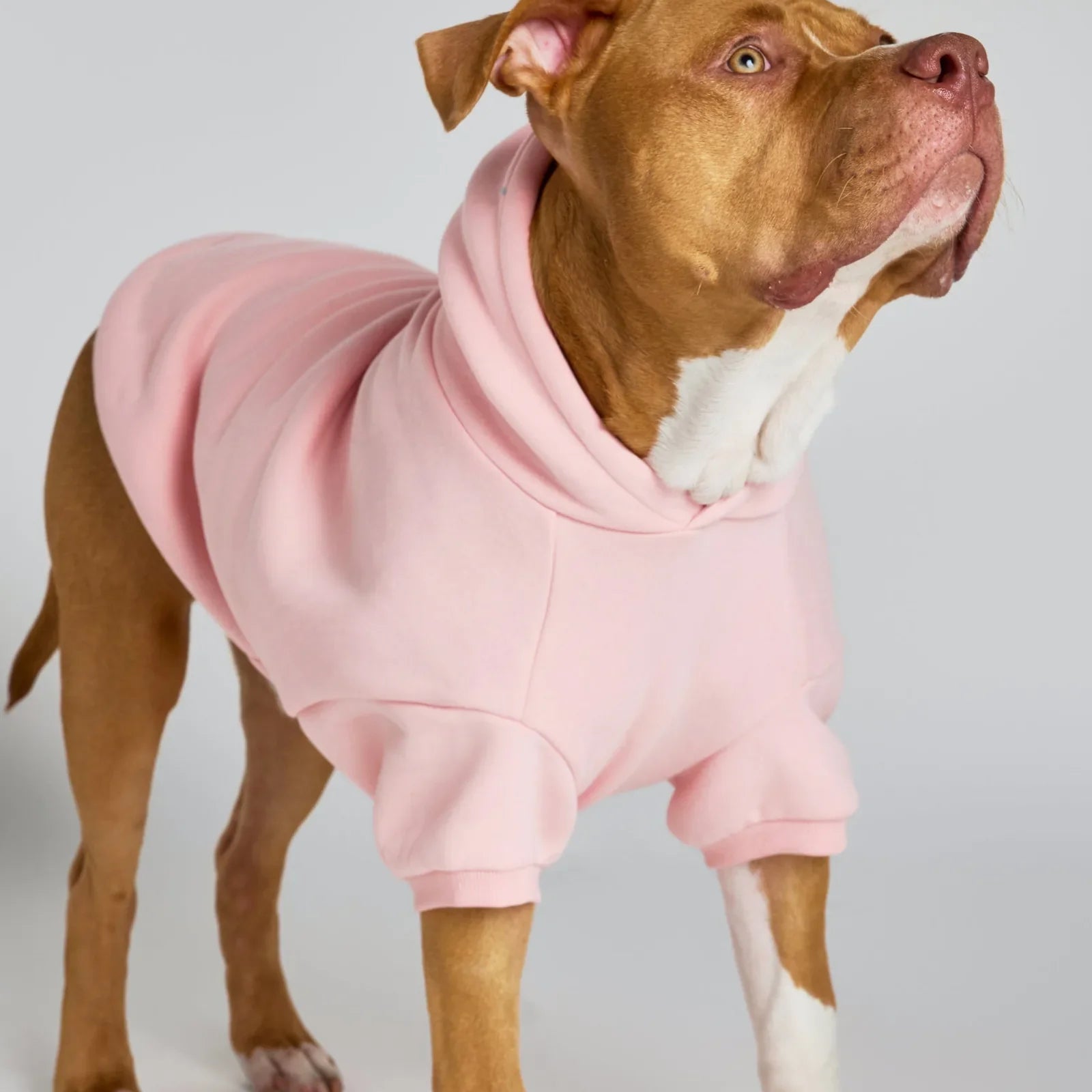 Pastel Paw Hoodie product image 7