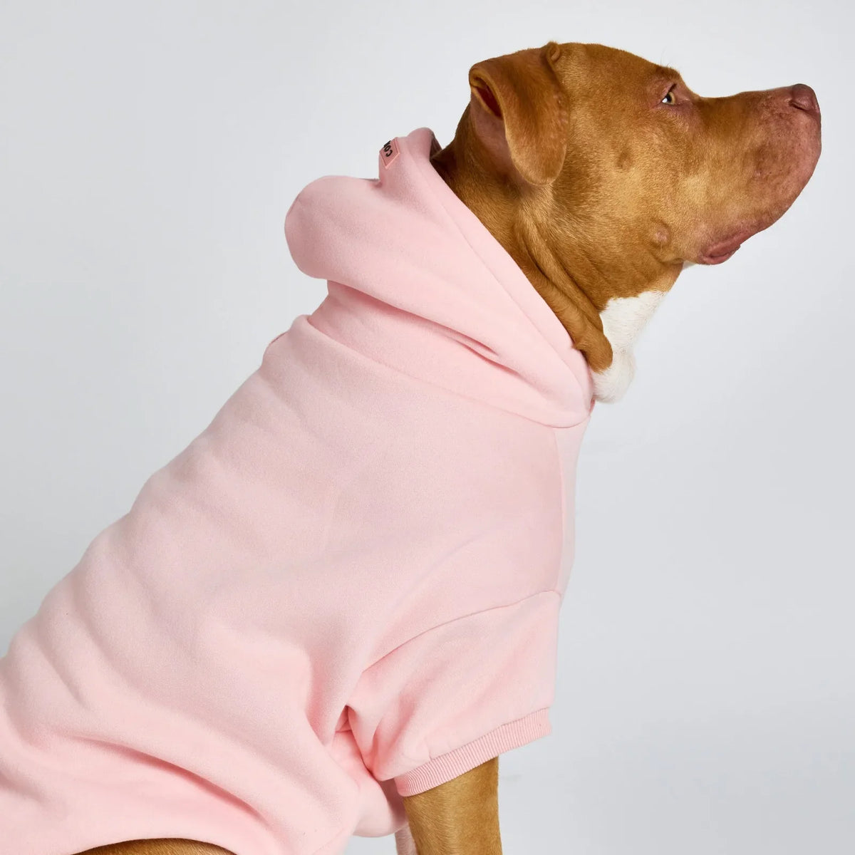 Pastel Paw Hoodie product image 8