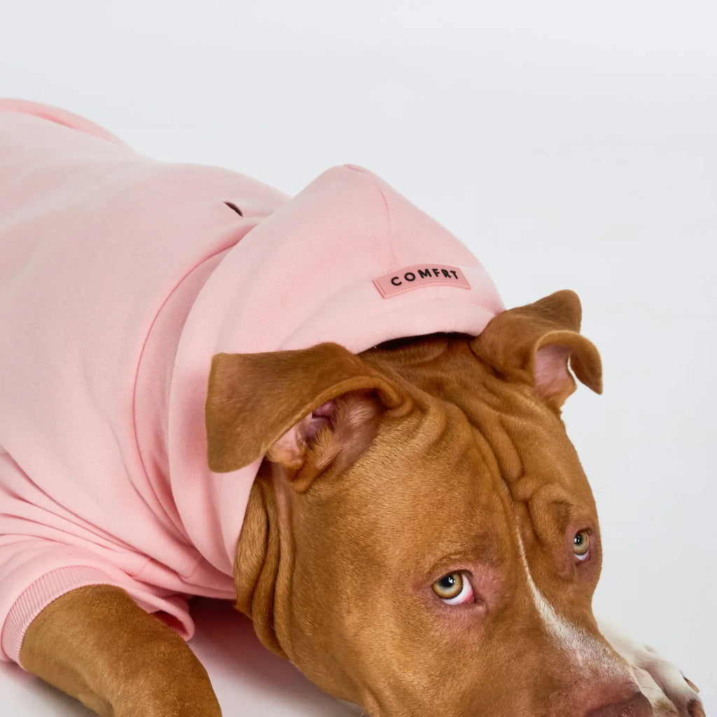 Pastel Paw Hoodie product image 9