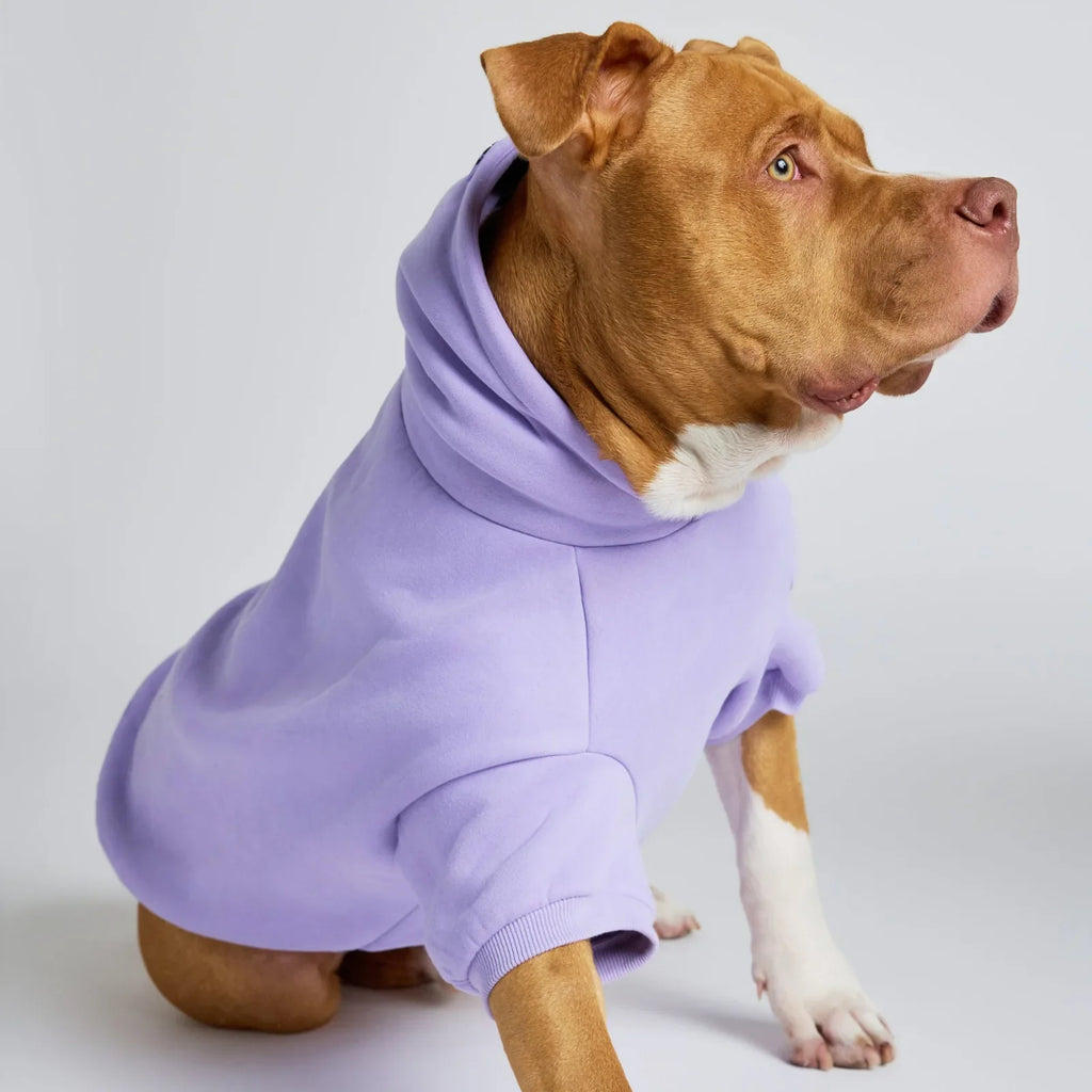 Pastel Paw Hoodie product image 12