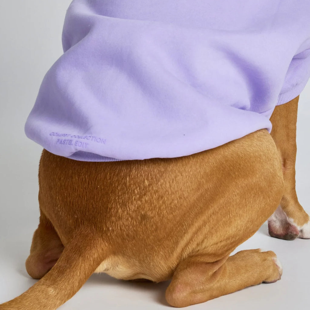 Pastel Paw Hoodie product image 13