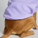 Pastel Paw Hoodie product image 13
