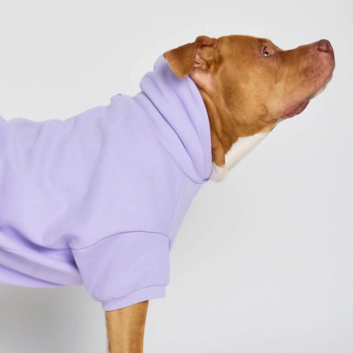 Pastel Paw Hoodie product image 14