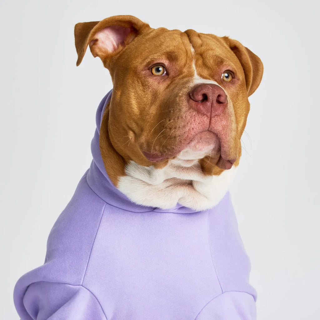 Pastel Paw Hoodie product image 15