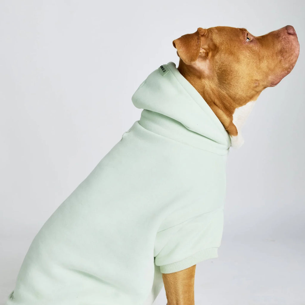 Pastel Paw Hoodie product image 19
