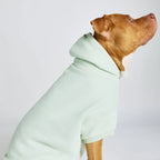 Pastel Paw Hoodie product image 19