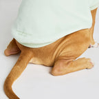 Pastel Paw Hoodie product image 20