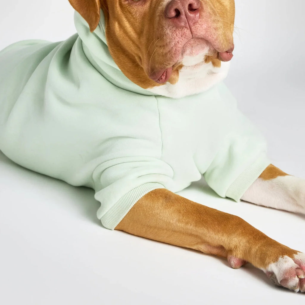 Pastel Paw Hoodie product image 21