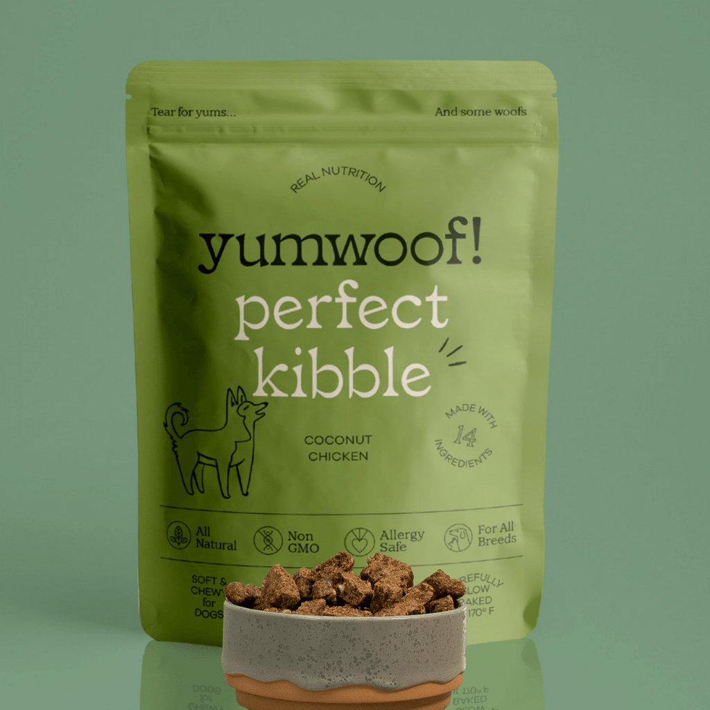Air-Dried Dog Food product image 1