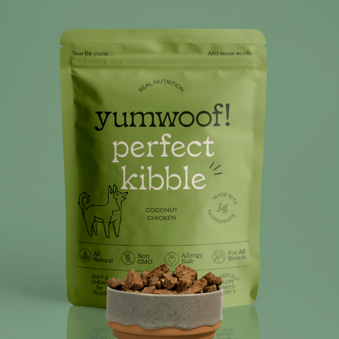 Air-Dried Dog Food product image 1