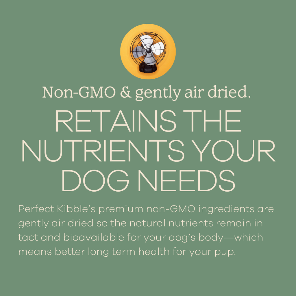 Air-Dried Dog Food product image 4