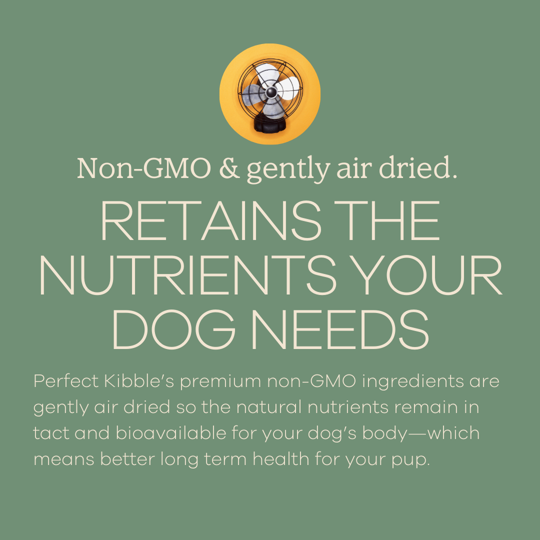 Air-Dried Dog Food product image 4