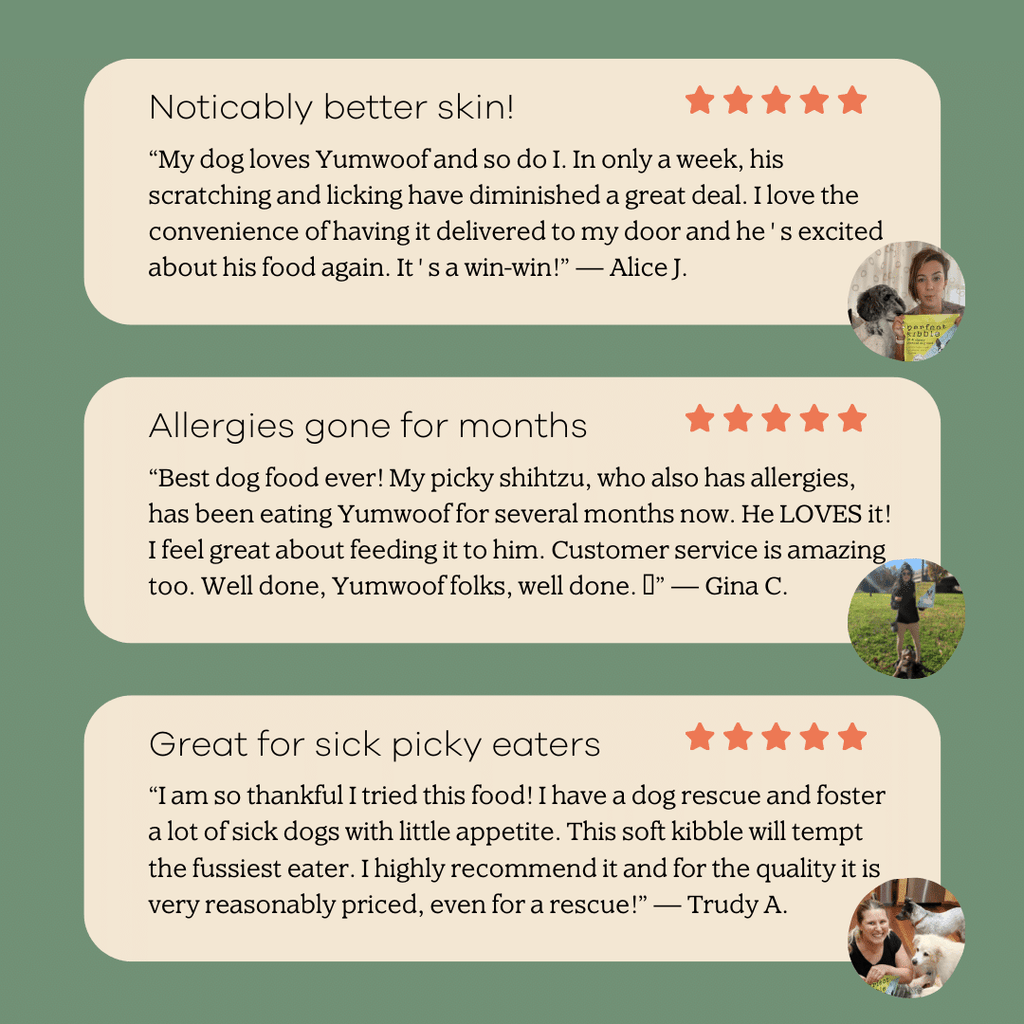 Air-Dried Dog Food product image 7