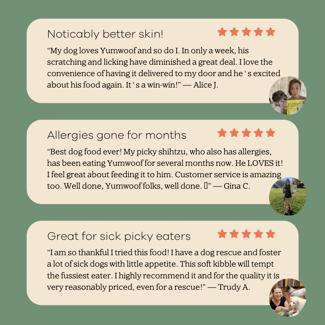 Air-Dried Dog Food product image 7