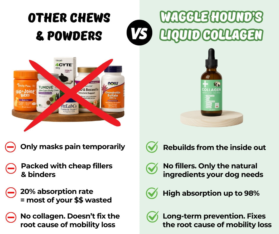 Liquid Collagen Supplement for Dogs product image 4