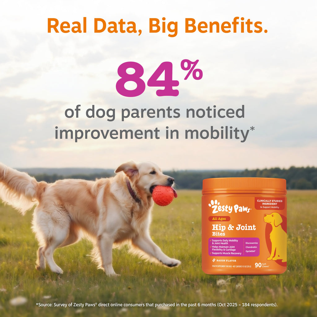 Dog Hip and Joint Soft Chews product image 4