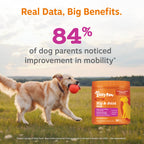 Dog Hip and Joint Soft Chews product image 4