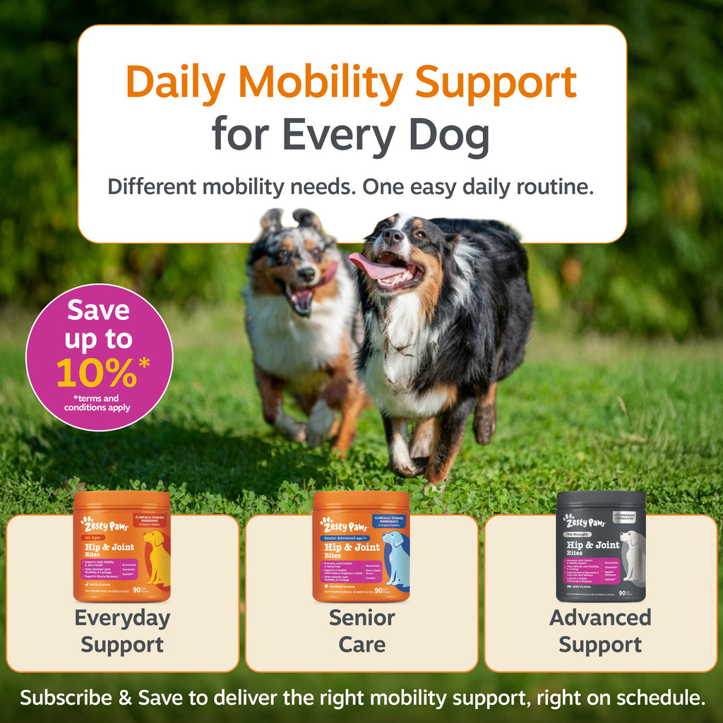 Dog Hip and Joint Soft Chews product image 8