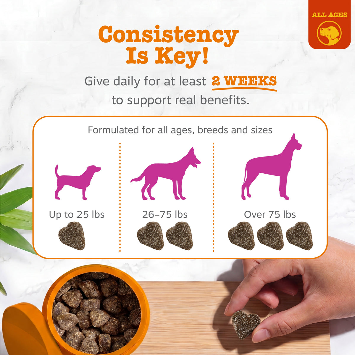Dog Hip and Joint Soft Chews product image 11