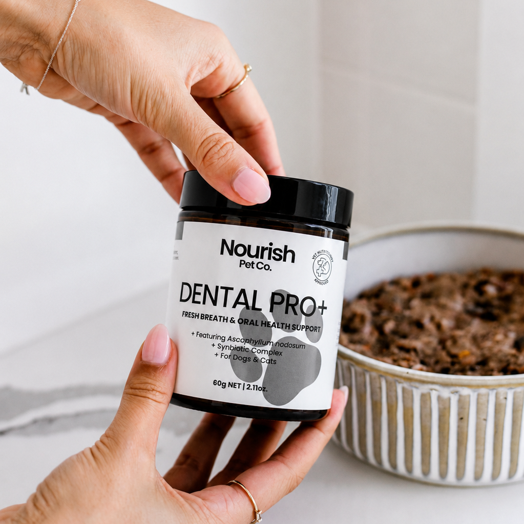 Dental Care Powder product image 9