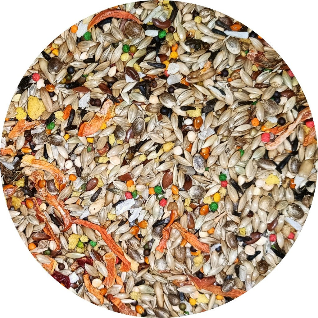 Canary Food product image 1