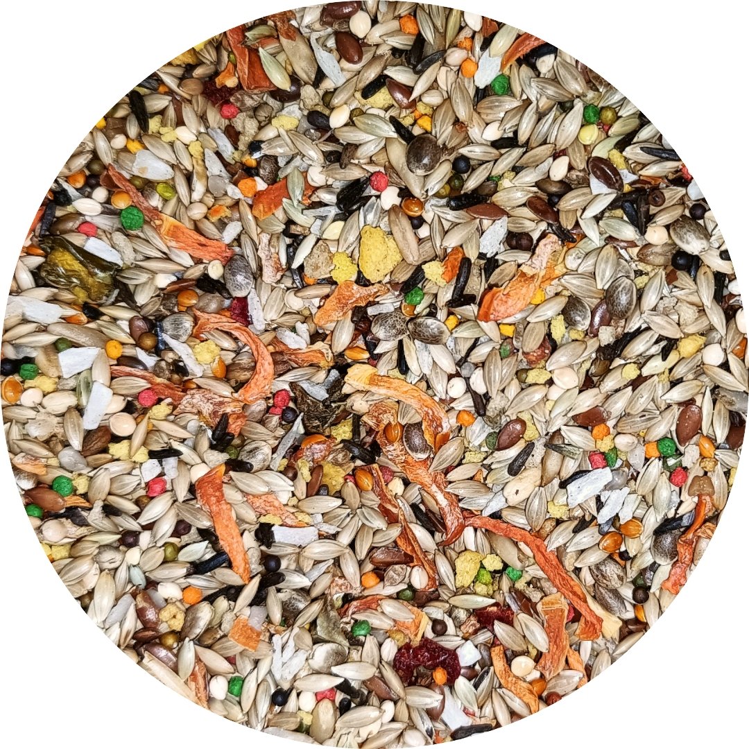 Canary Food product image 2