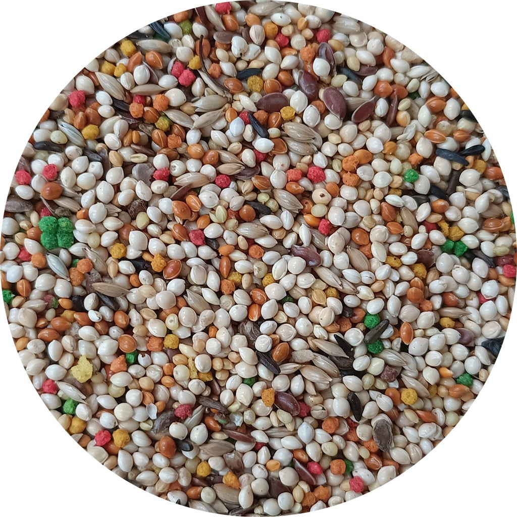 Finch Seed Blend product image 1
