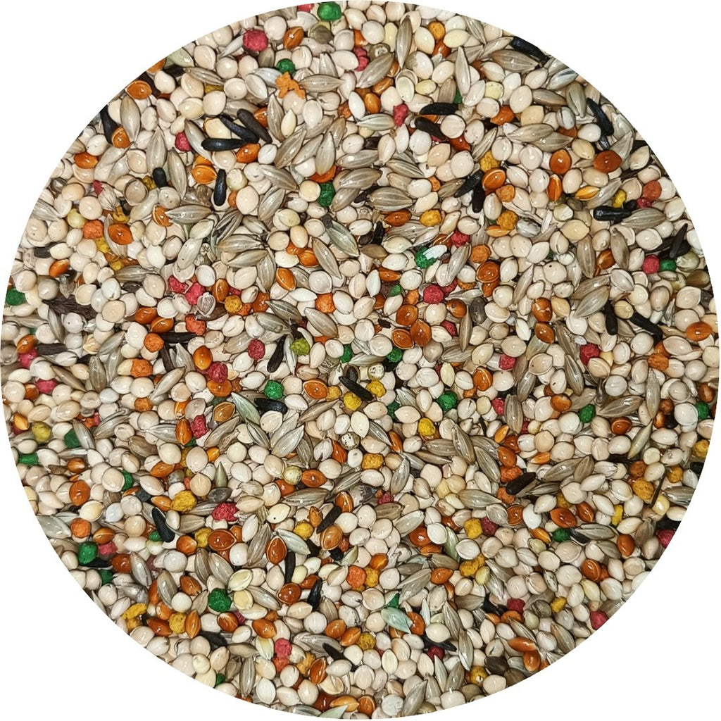 Finch Seed Blend product image 2