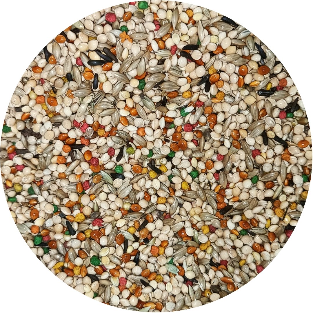 Finch Seed Blend product image 2