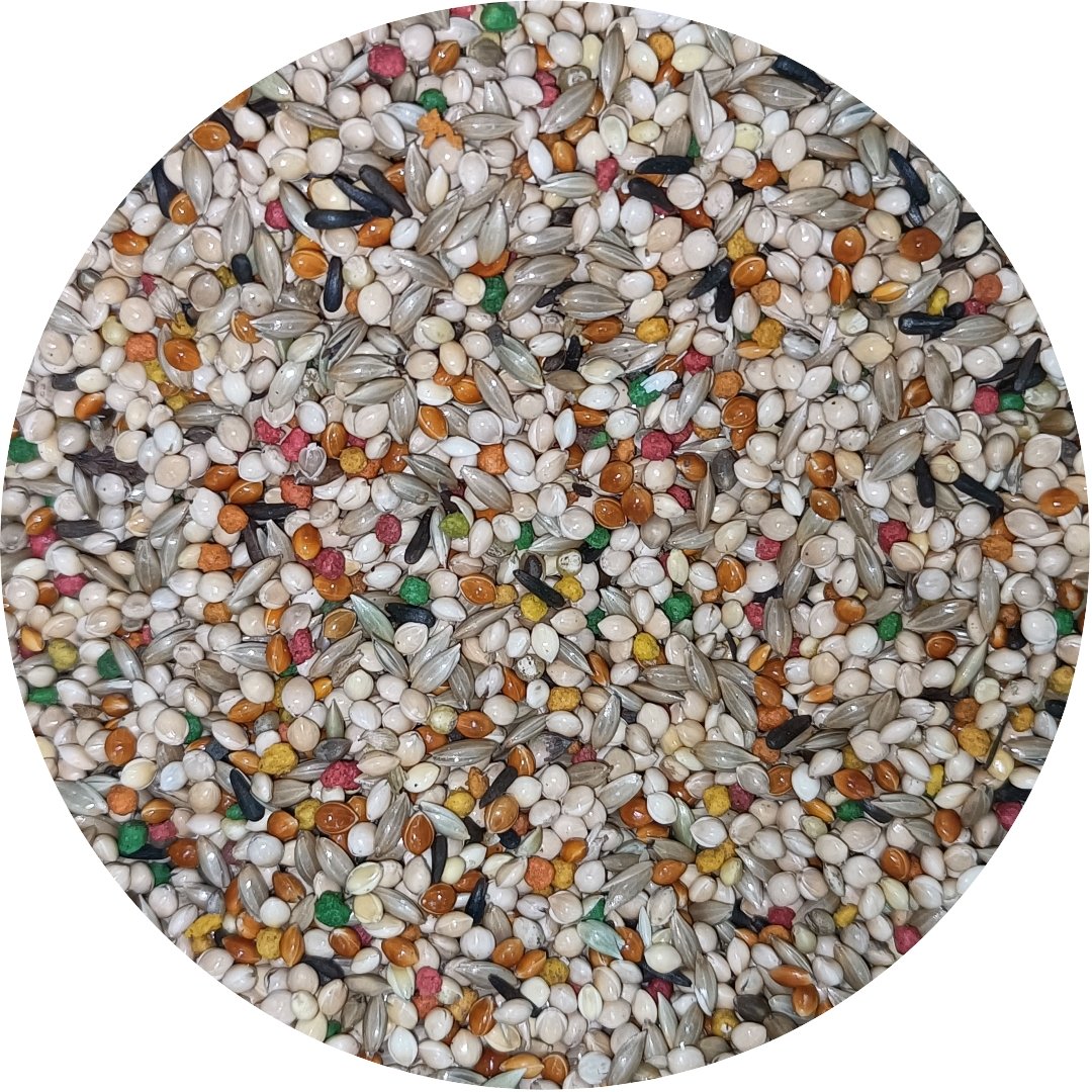 Finch Seed Blend product image 3