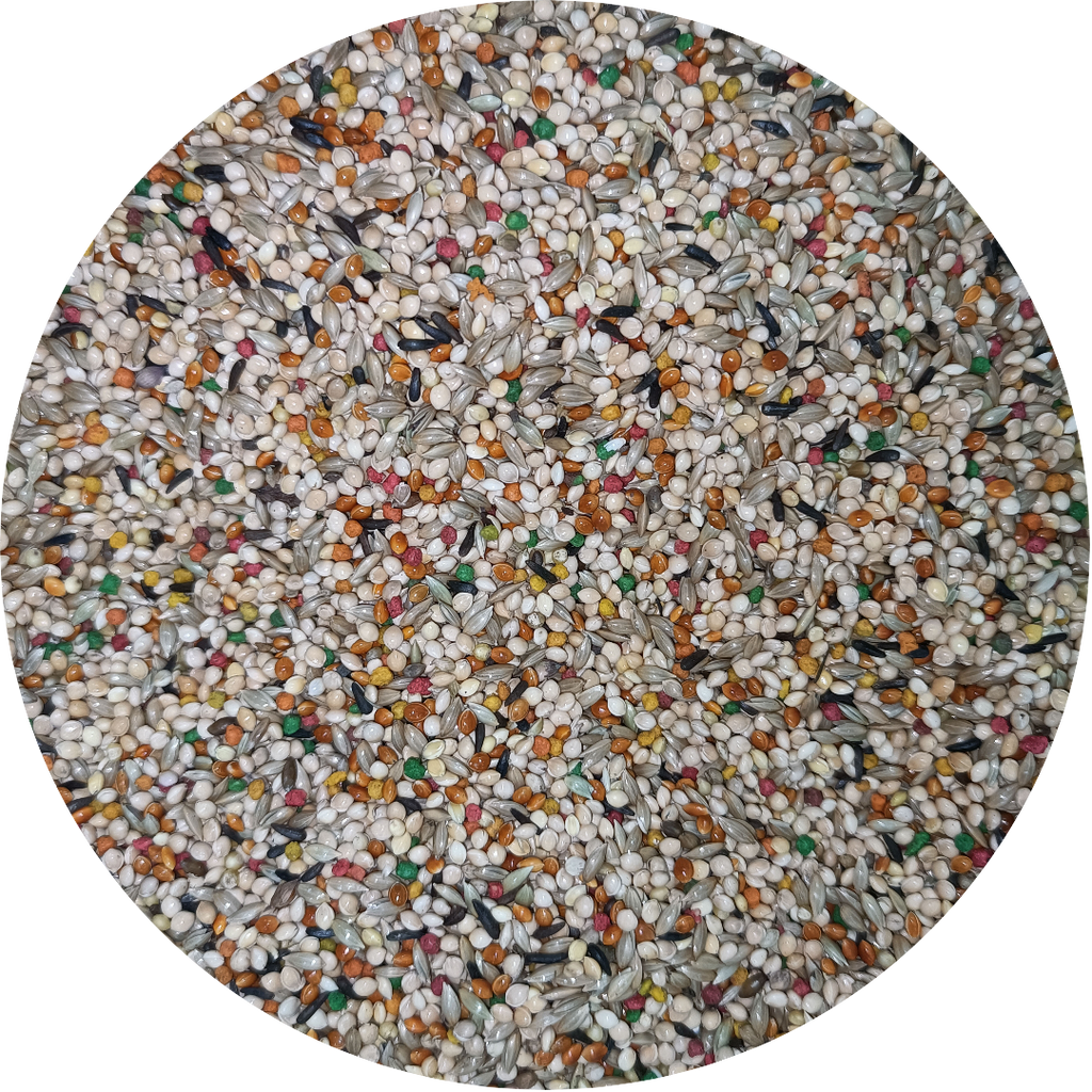 Finch Seed Blend product image 4