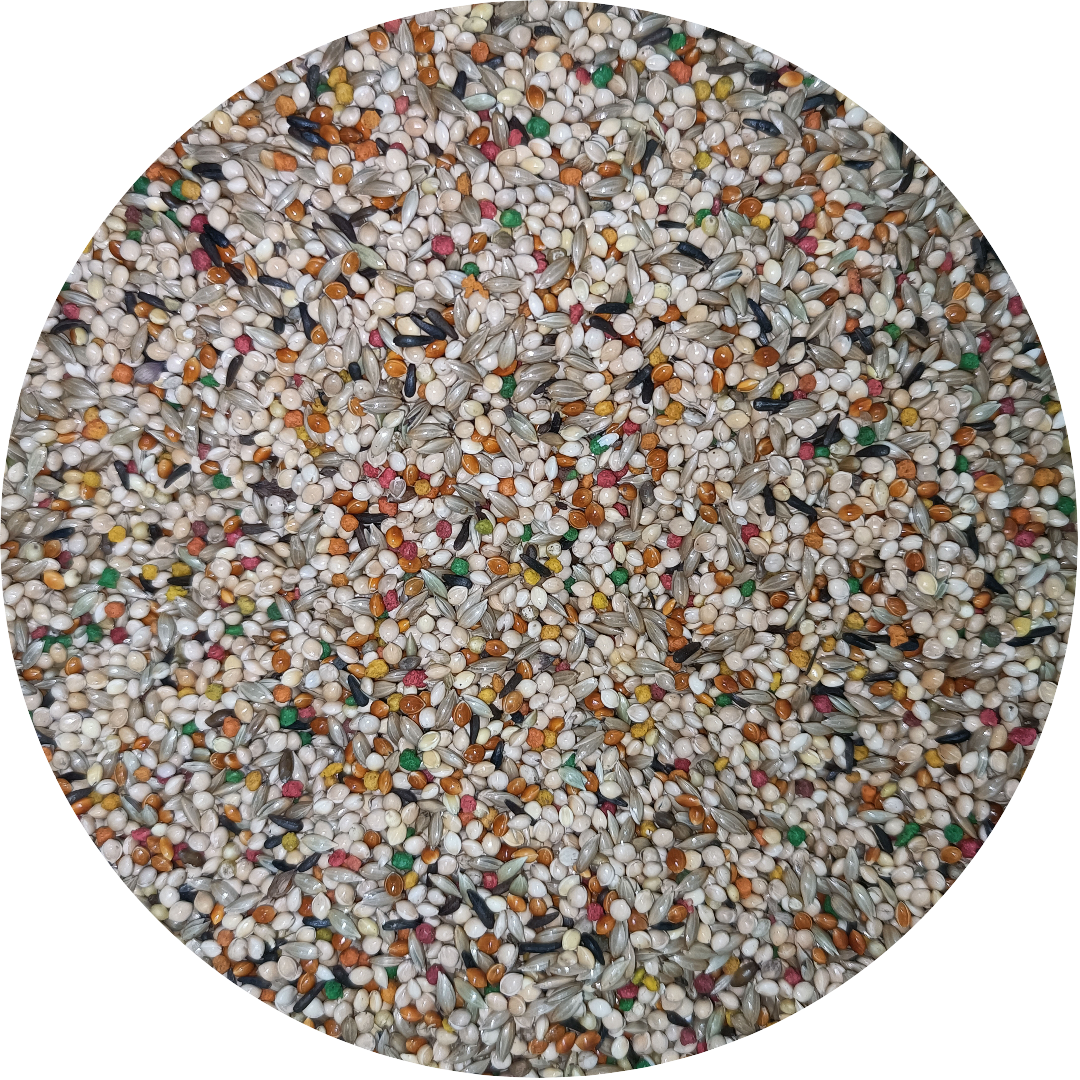 Finch Seed Blend product image 4