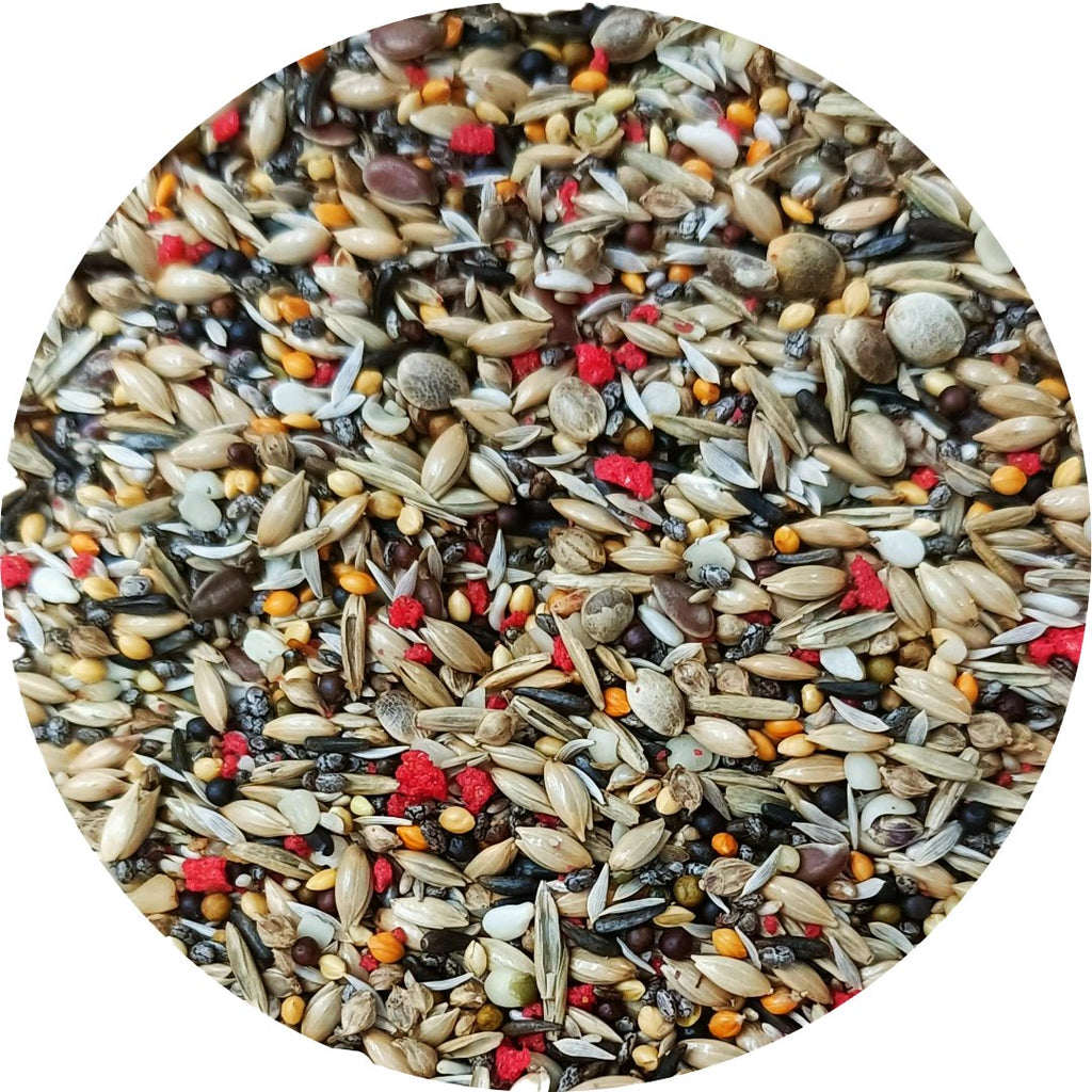 Bird Seed Mix product image 1