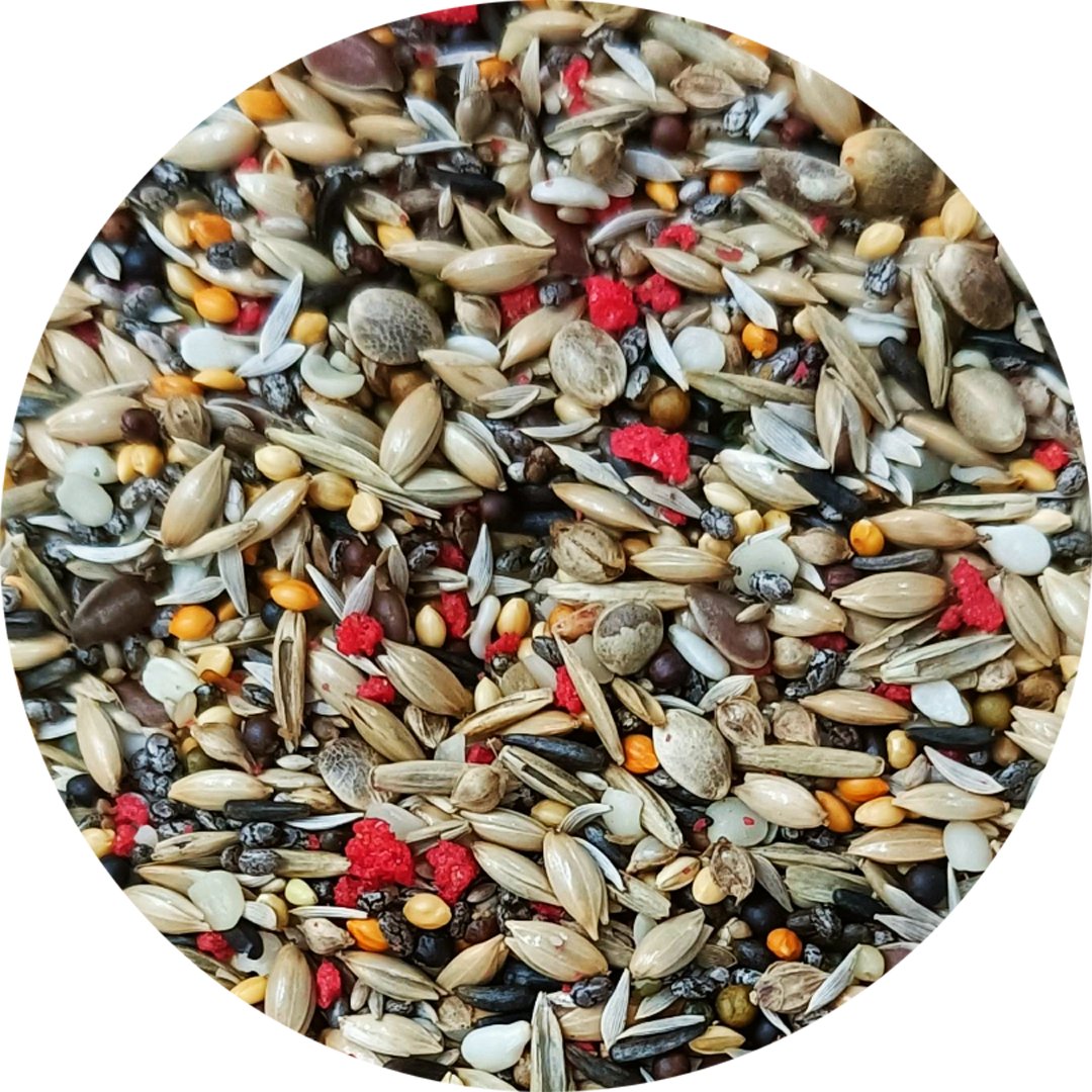 Bird Seed Mix product image 2