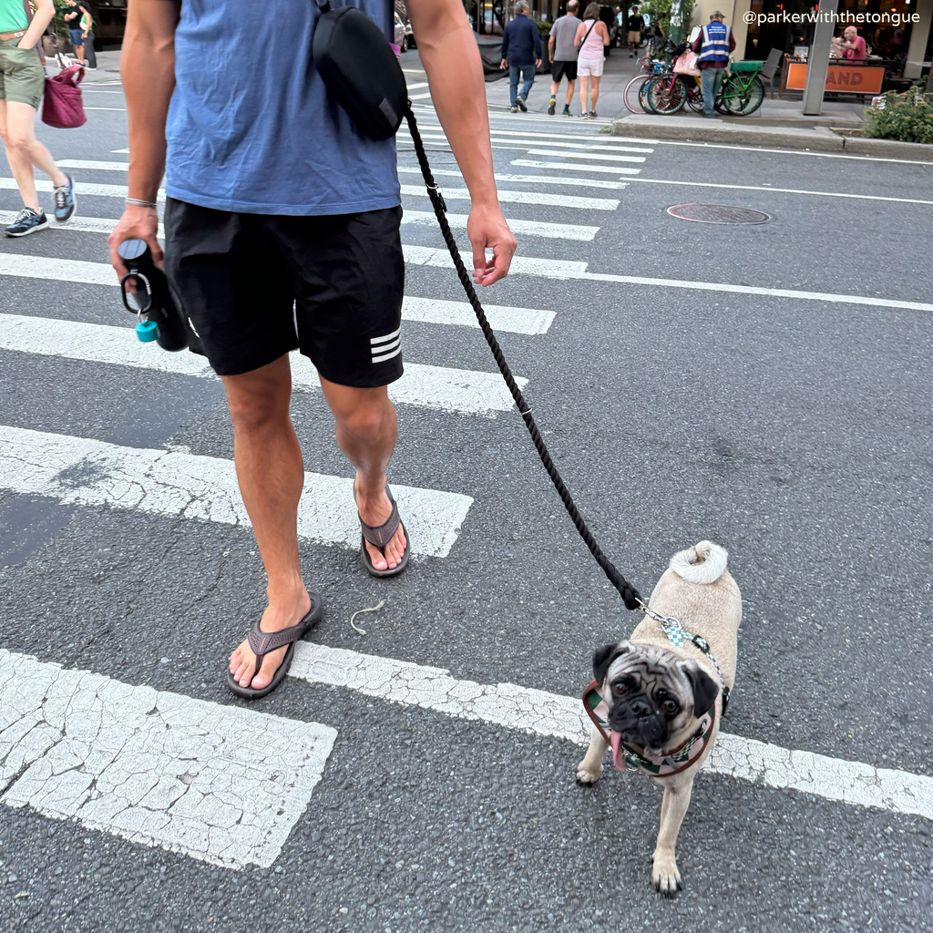 Hands-Free Dog Leash product image 2