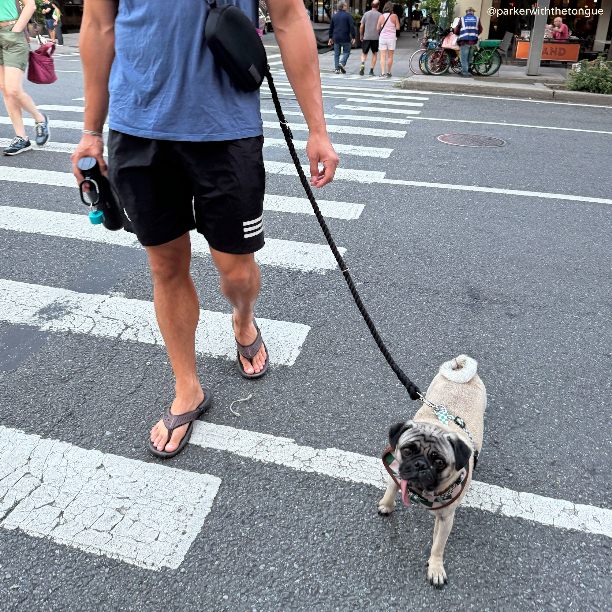 Hands-Free Dog Leash product image 2