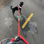 Hands-Free Dog Leash product image 5