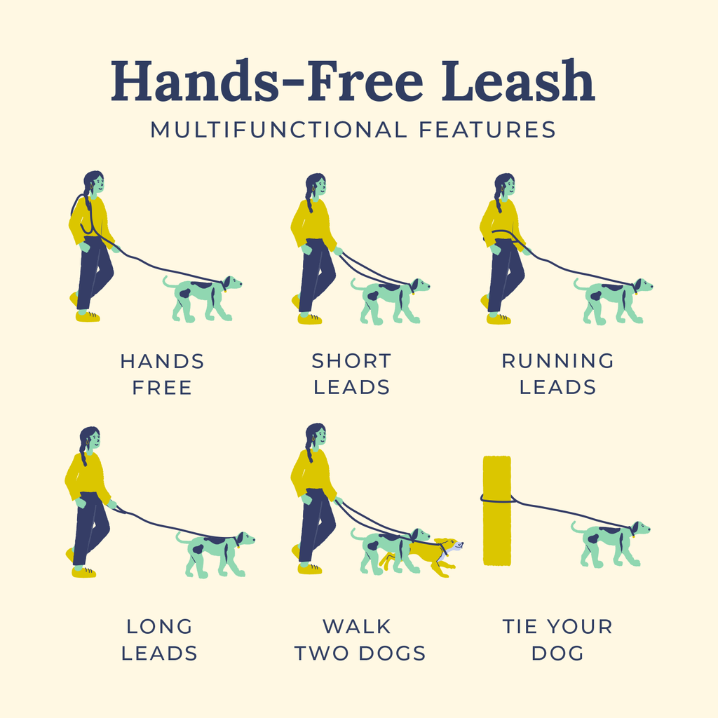 Hands-Free Dog Leash product image 6