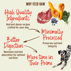 Freeze-Dried Raw Dog Food product image 5