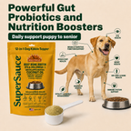 Yellow SuperSauce pouch, white scoop of powder, and a golden retriever next to a bowl of kibble.