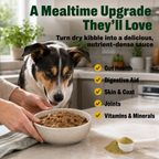 A dog looks at a bowl of kibble in sauce held by a person next to a scoop of green powder on a kitchen counter.